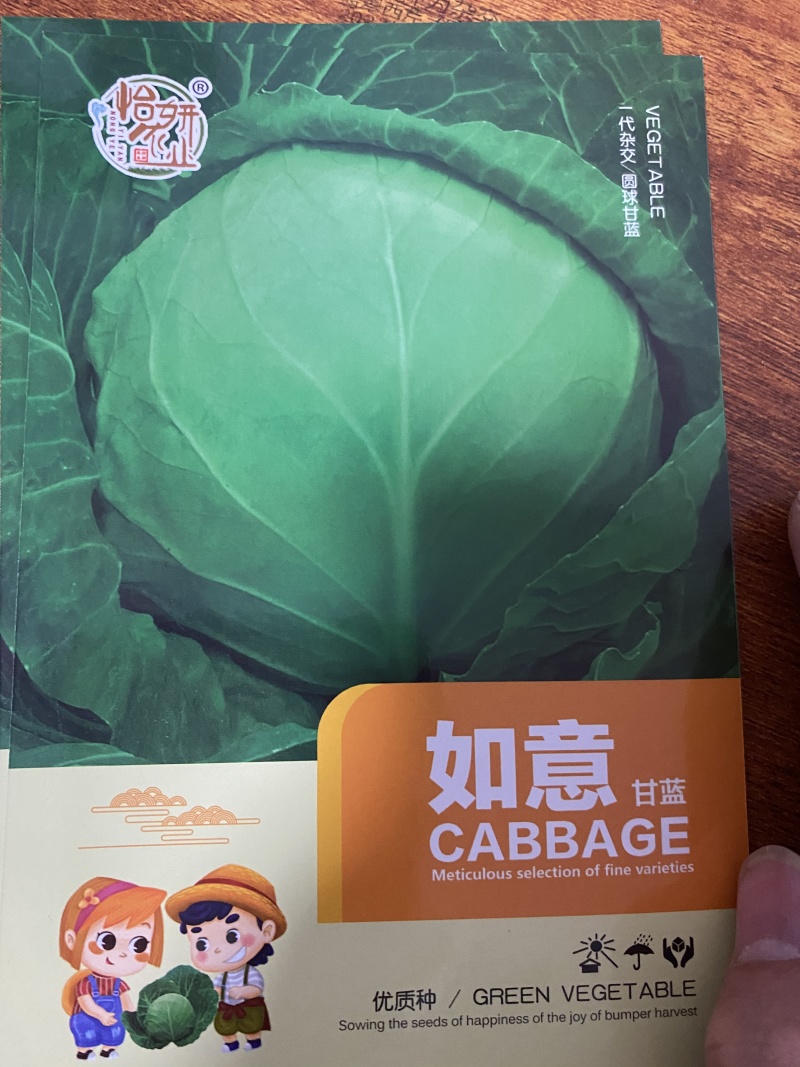 如意绿甘蓝种子抗病抗裂高产圆包菜种子蔬菜种子