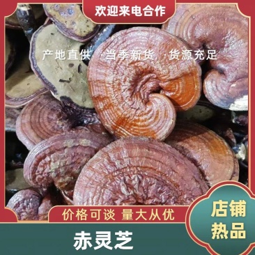 长白山赤灵芝红灵芝药食同源全检合格产地批发