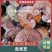 长白山赤灵芝红灵芝药食同源全检合格产地批发