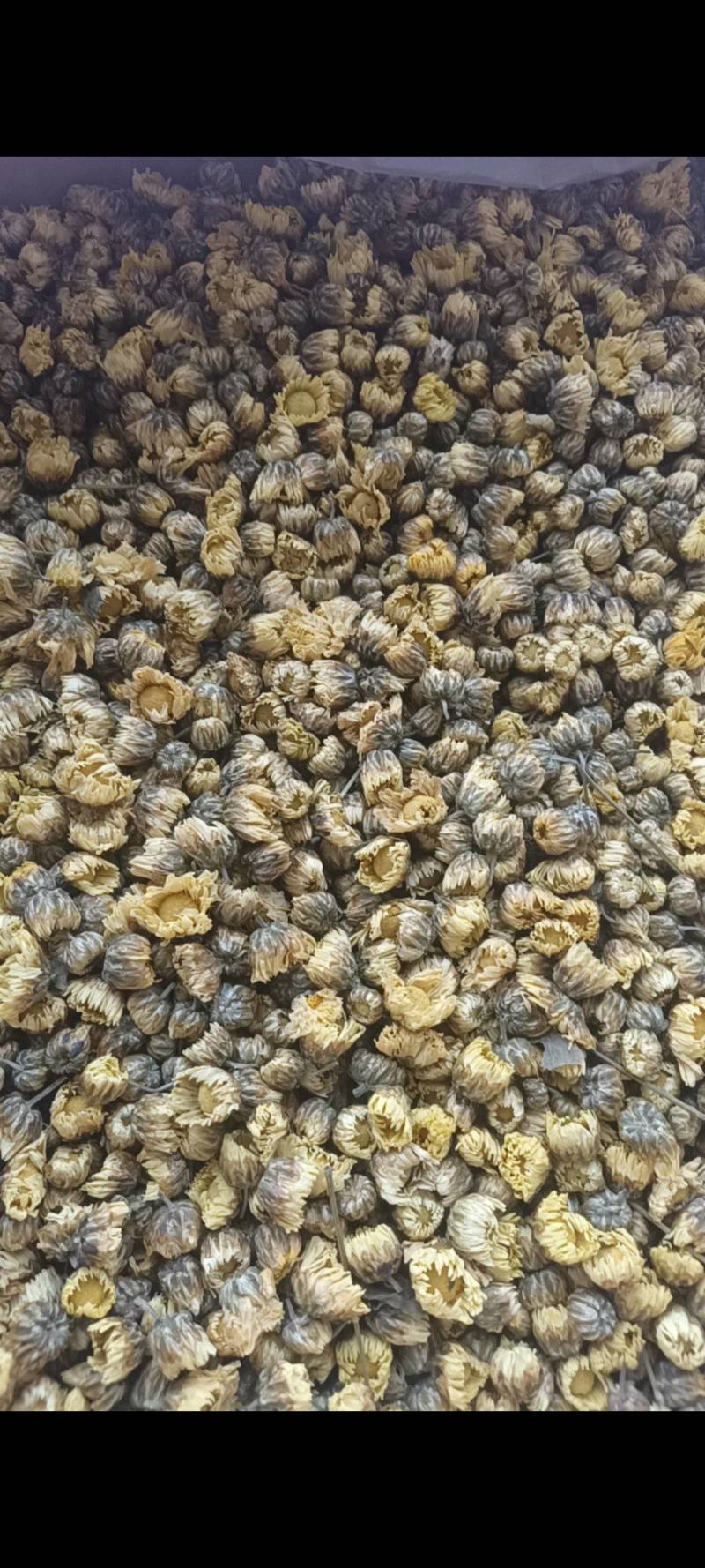 胎菊花茶，养生专用，药用，颜色好看丹丹中药
