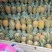 云南无眼凤梨大量供应中产地直发品质好价格优量大优惠
