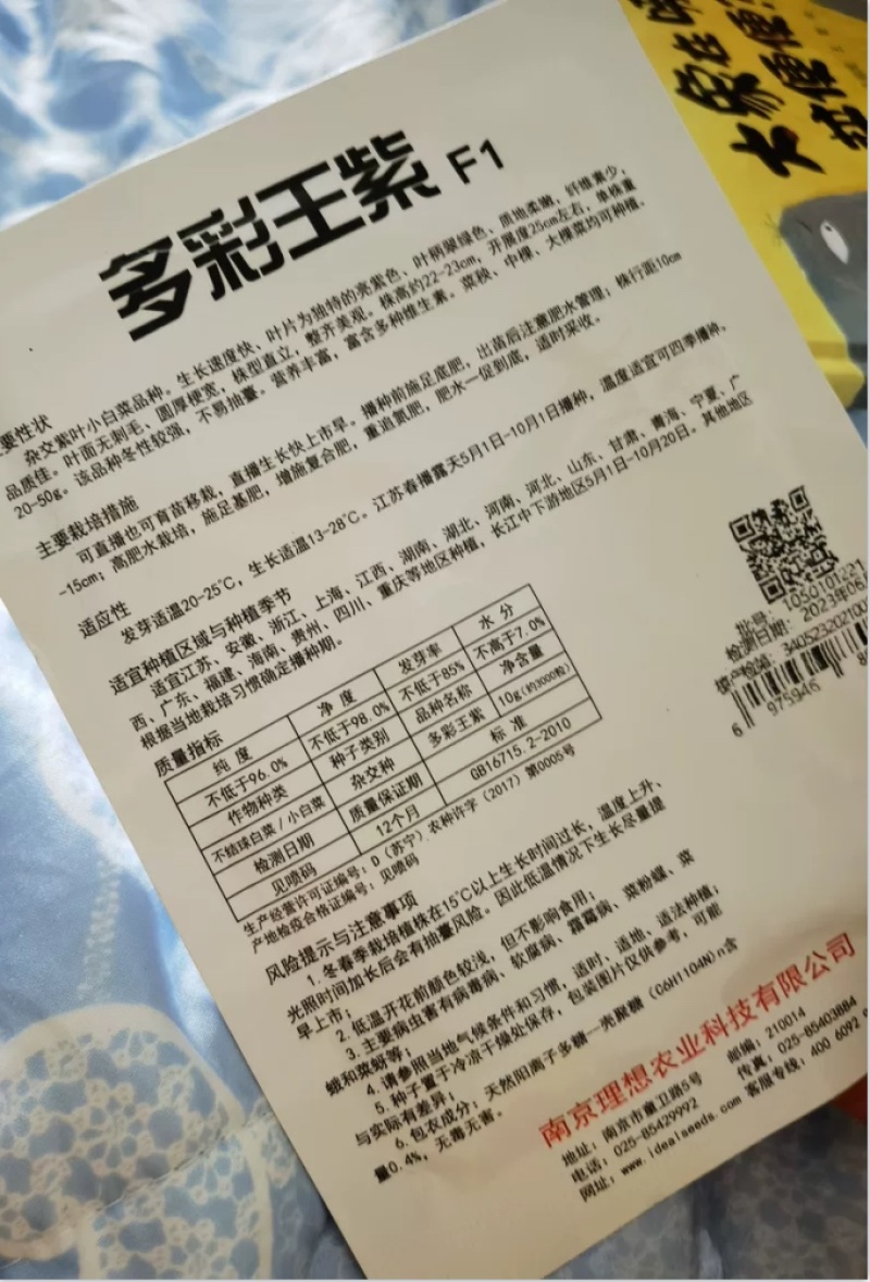紫油菜种子不易抽翠绿色无刺毛小青菜四季种植