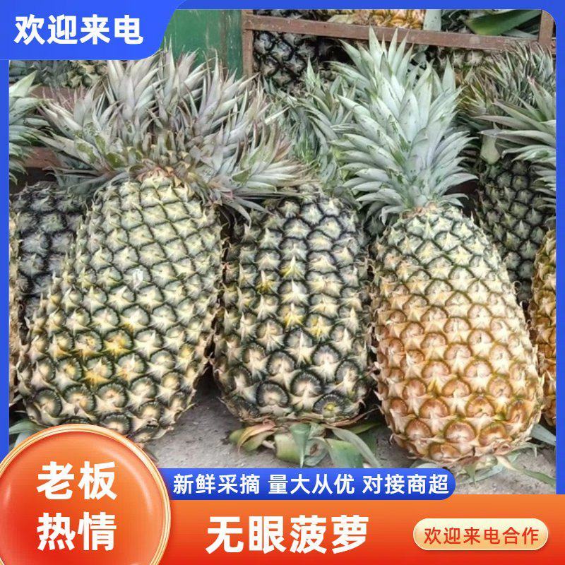 云南西双版纳无眼菠萝香甜可口对接商超市场社区等
