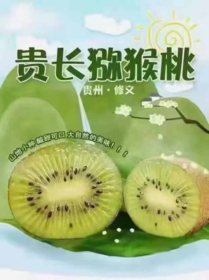 修文猕猴桃