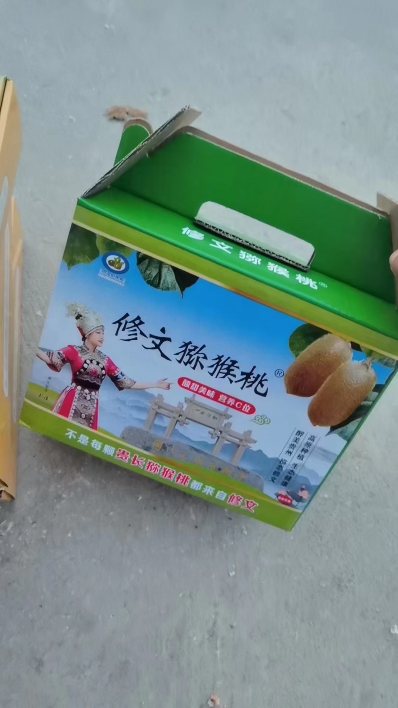 修文猕猴桃