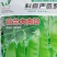 豌豆种子荷兰大肉豌严选系列食荚荷兰豆大菜豌甜脆