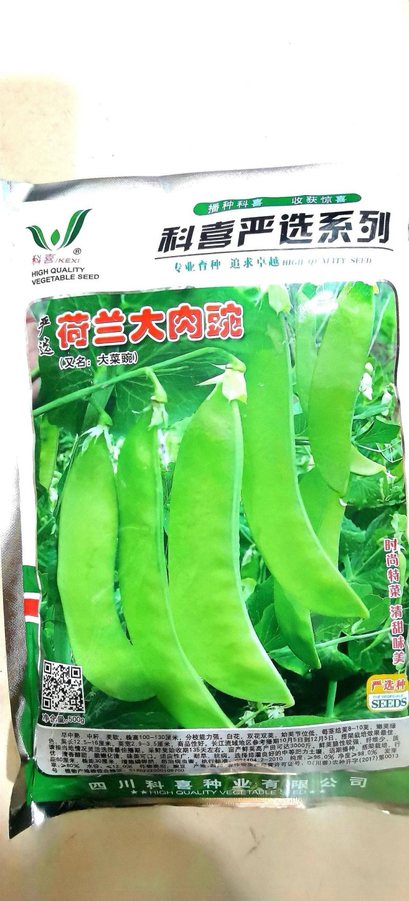 豌豆种子荷兰大肉豌严选系列食荚荷兰豆大菜豌甜脆