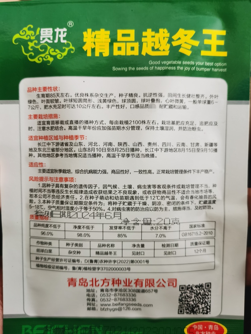 越冬王精品越冬大白菜杂交一代种子菜基地品种