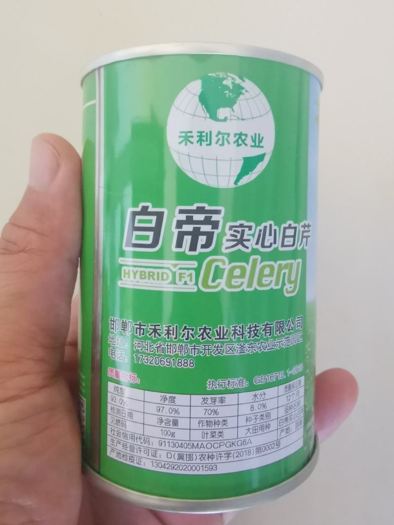 白芹菜种子四季白帝实心白芹种籽浓香型实心耐抽苔基地种