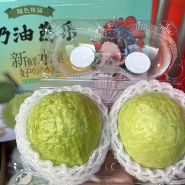 奶油芭乐番石榴精品白心番石榴产地直发