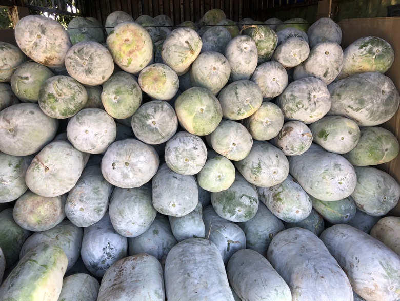 白皮甜瓜线上线下销售渠道