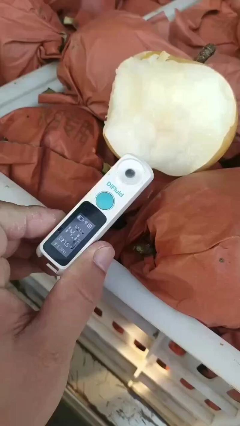 精品秋月梨，礼盒包装，果面干净，糖份超高