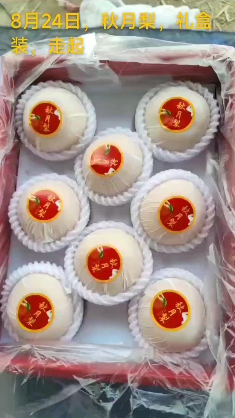 精品秋月梨，礼盒包装，果面干净，糖份超高