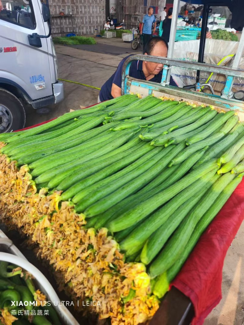 大量丝瓜