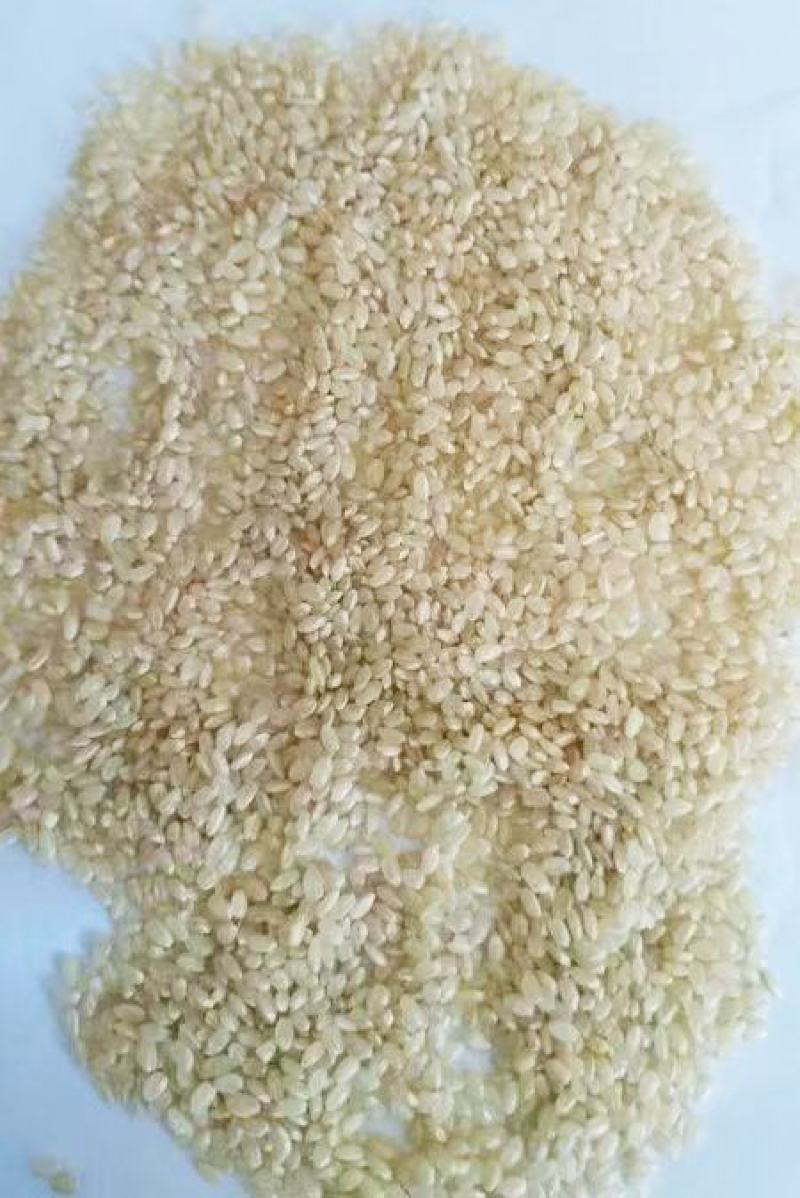糙米东北糙米饲料米酒米现货58万吨真实现货