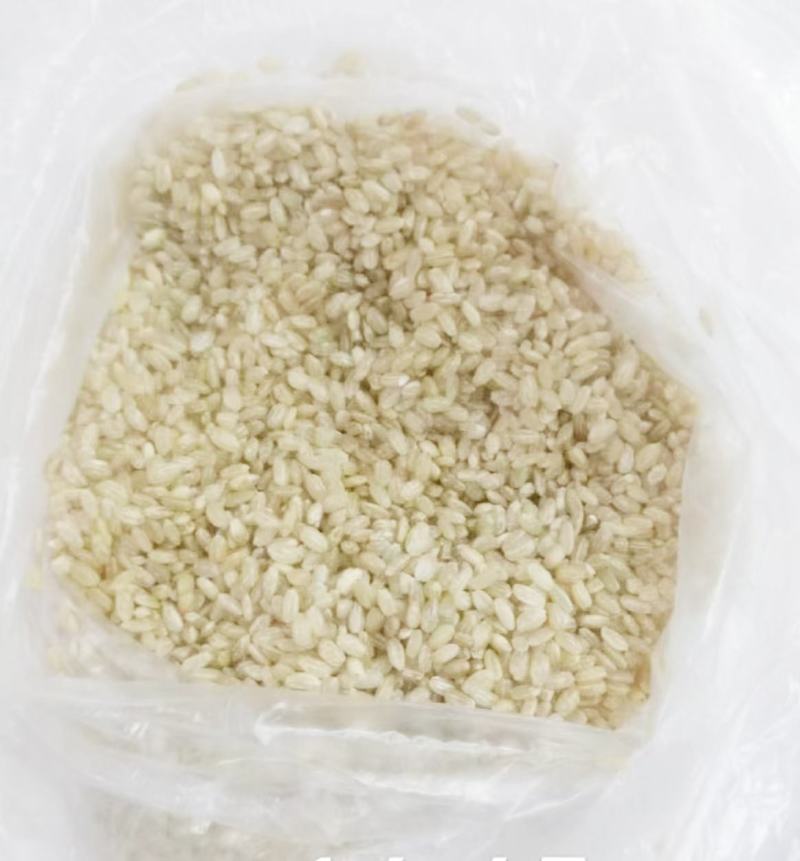 糙米东北糙米饲料米酒米现货58万吨真实现货