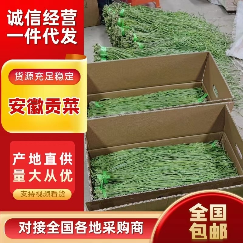 【精选】贡菜干贡菜产地直发货源充足全国接单量大优惠