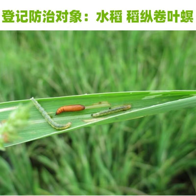 济南天邦虎狩5.8%甲维·氯虫苯水稻稻纵卷叶螟杀虫剂