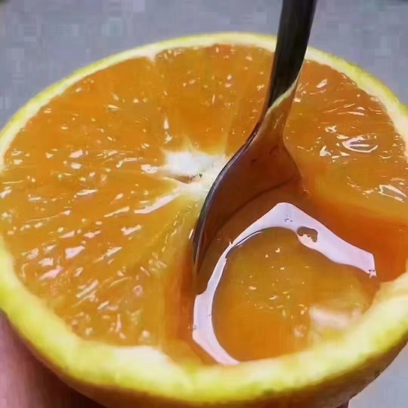 重庆纽荷尔脐橙