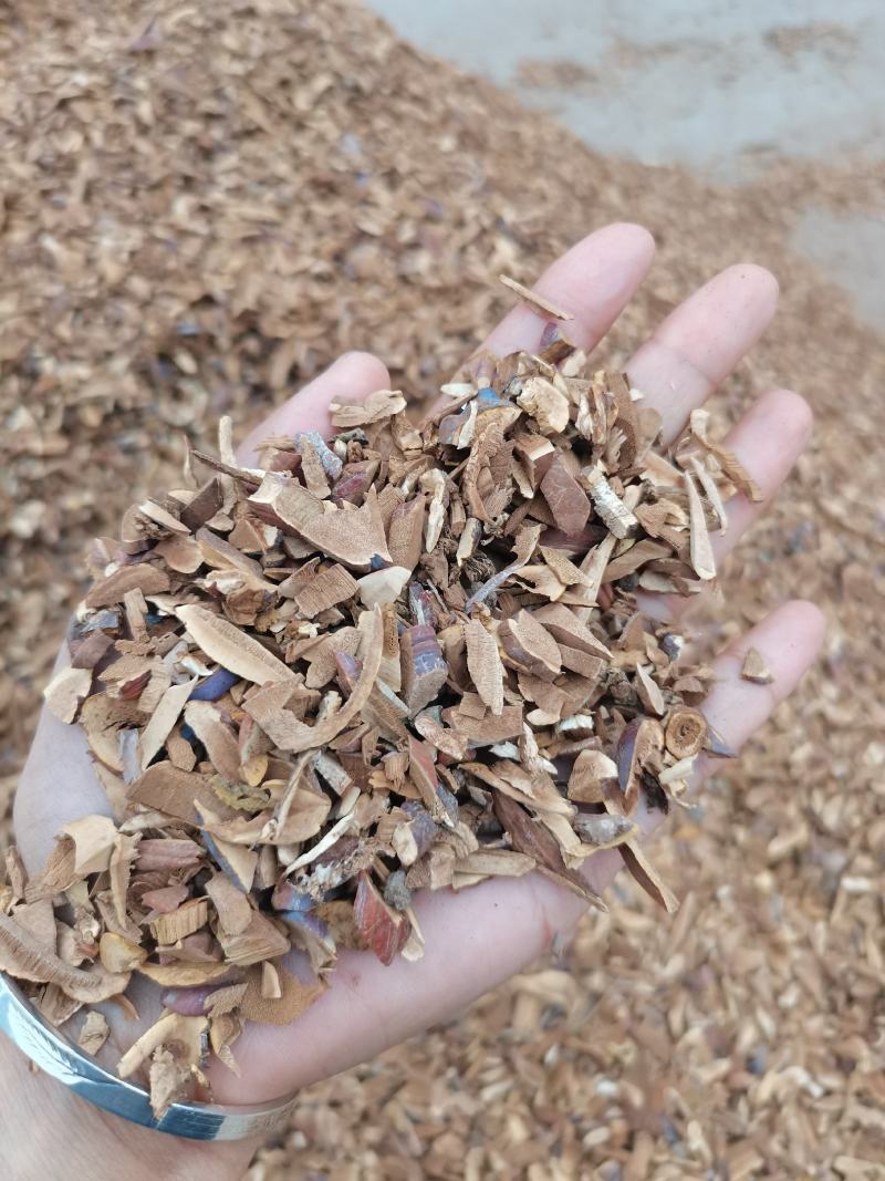 赤灵芝灵芝下脚料灵芝碎块可做灵芝茶灵芝提取