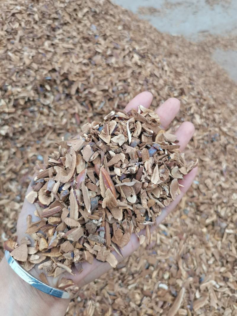 赤灵芝灵芝下脚料灵芝碎块可做灵芝茶灵芝提取