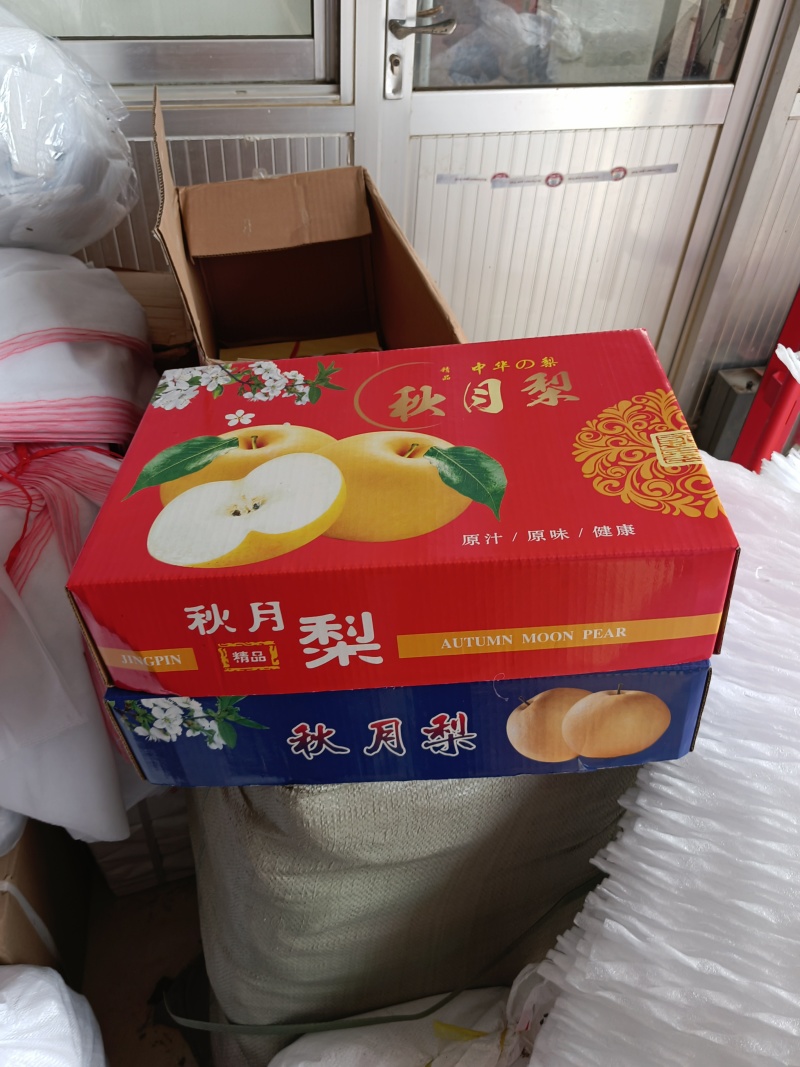 秋月梨莱西市秋月梨主产区诚信对接全国客商前来采购
