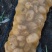 大沃土，四两起0.55，要的滴滴，手快有，手慢无，