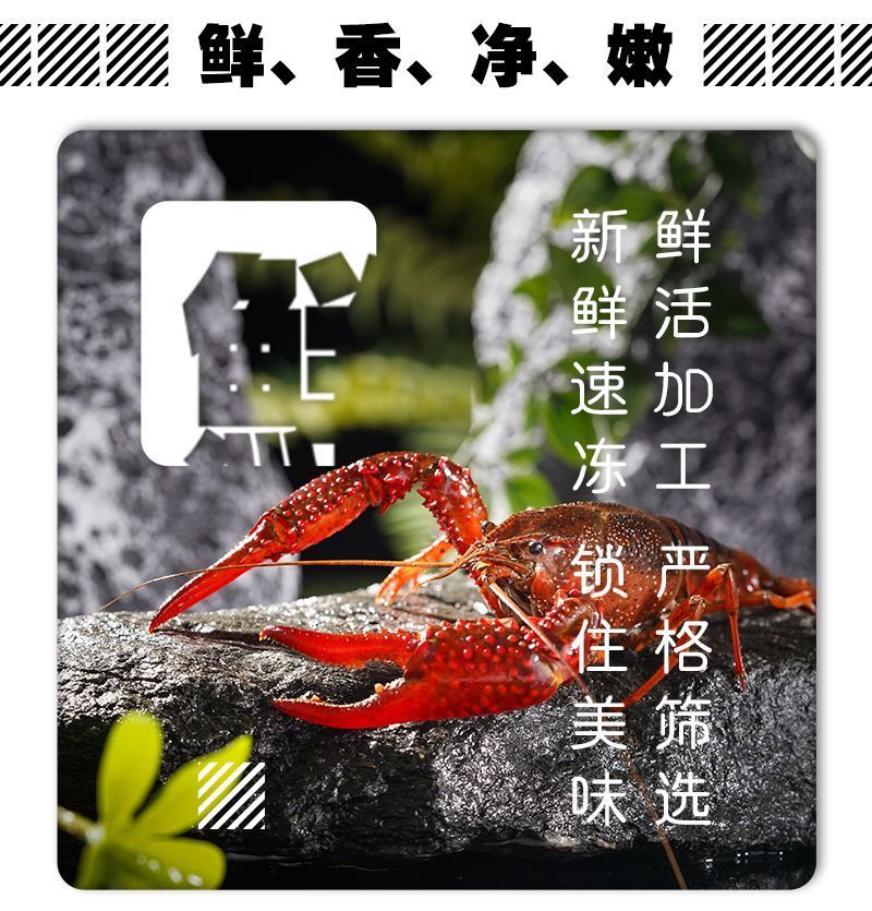液氮小龙虾厂家直发