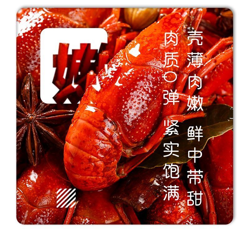 液氮小龙虾厂家直发