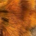 临沂莱彩大麦干花，开业大麦，麦穗干花，黄金大麦生产厂家