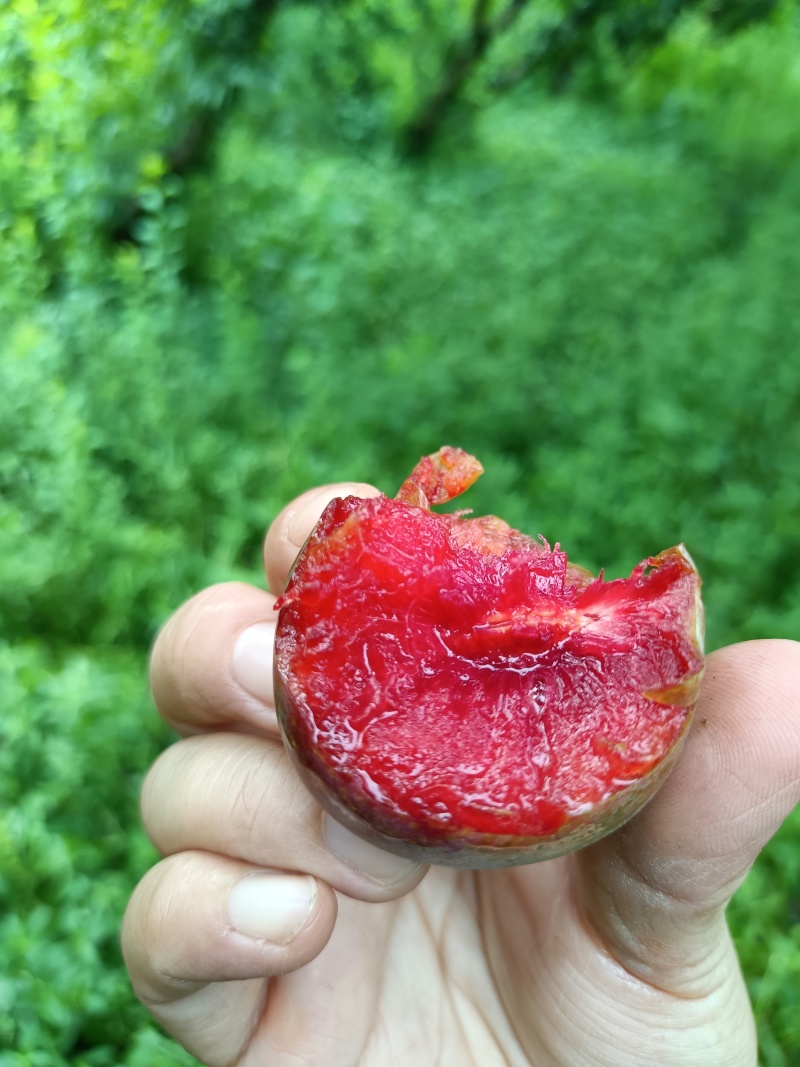 富仁李上市
