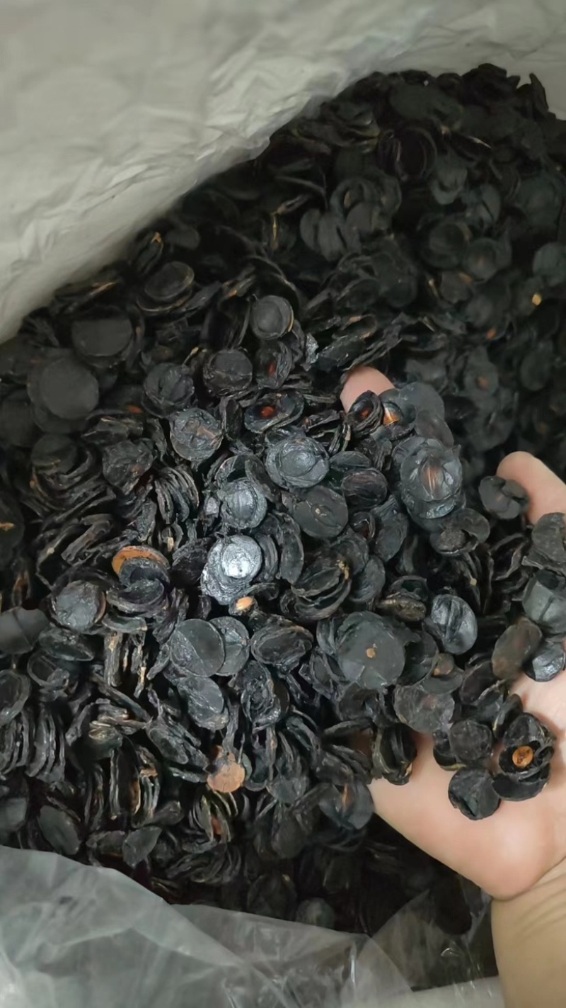 便秘果肉云南纯果肉纯果片腊肠果产地直销便秘果肉
