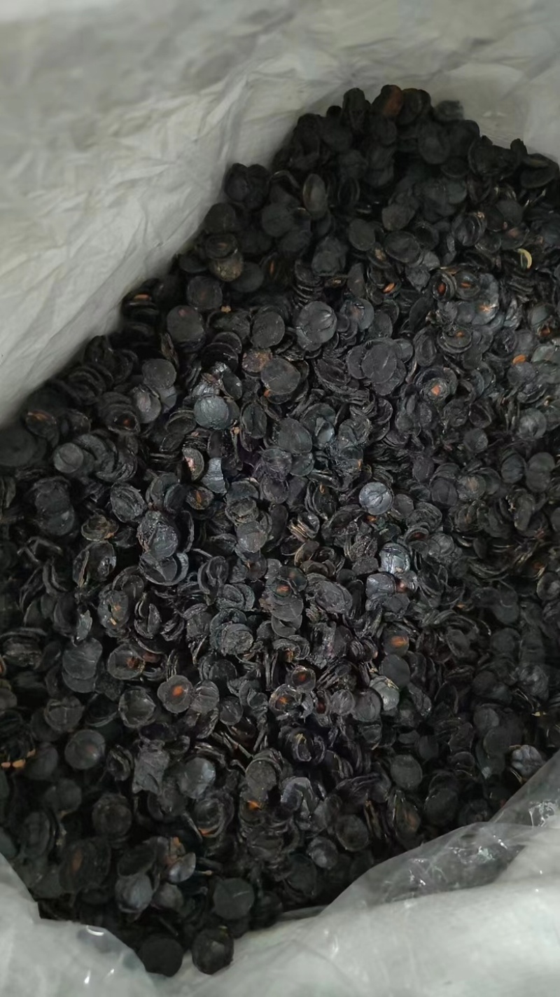 便秘果肉云南纯果肉纯果片腊肠果产地直销便秘果肉