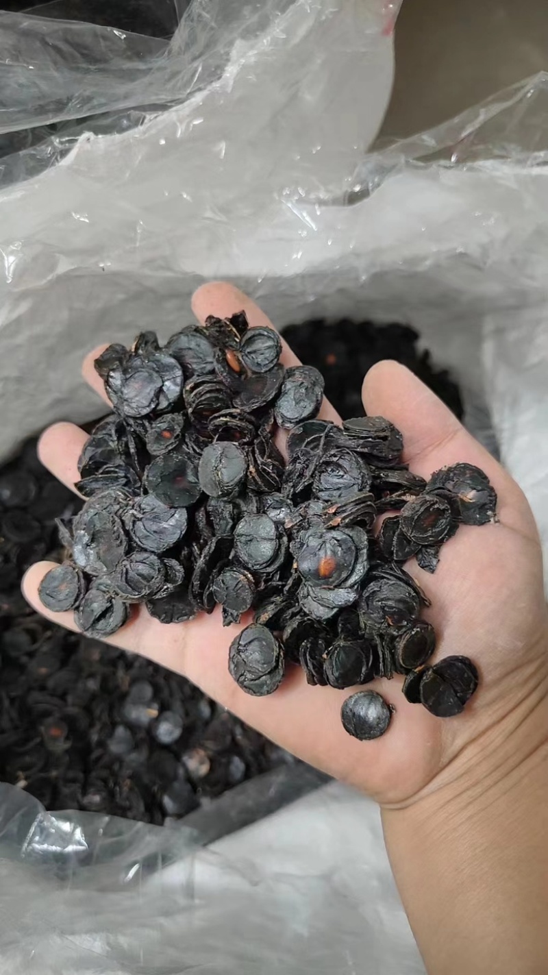 便秘果肉云南纯果肉纯果片腊肠果产地直销便秘果肉