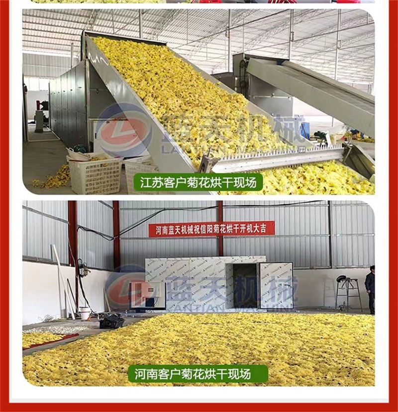 烘烤核桃的机器核桃烤干机器核桃专用烘干机核桃烘干房电烤房