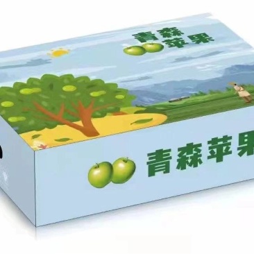 山东青岛青森苹果上市/脆甜皮薄/保质保量/产地直供