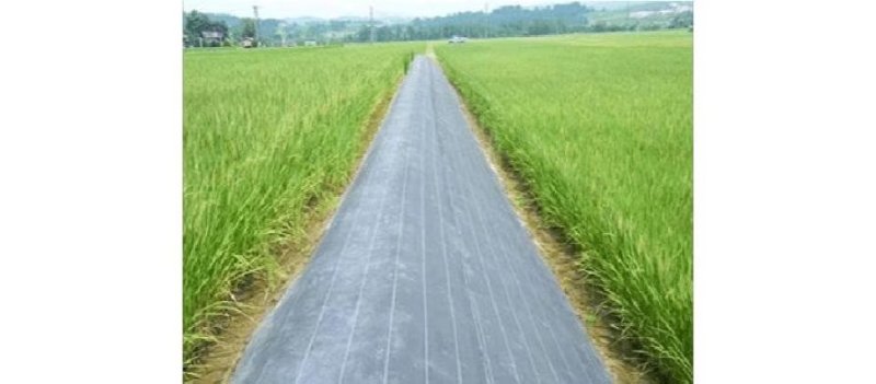防草布除草布防草编织布园林除草果园防草布中药防