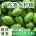正宗广东香水柠檬无籽青柠檬新鲜水果现摘3/5斤奶茶店专用