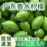 正宗广东香水柠檬无籽青柠檬新鲜水果现摘3/5斤奶茶店专用
