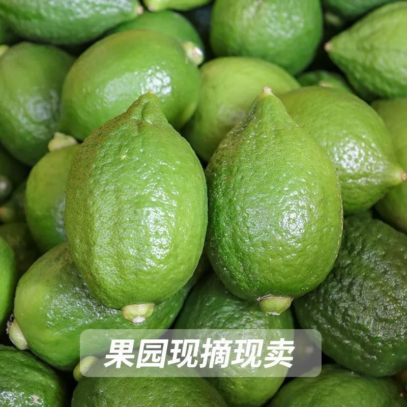 正宗广东香水柠檬无籽青柠檬新鲜水果现摘3/5斤奶茶店专用