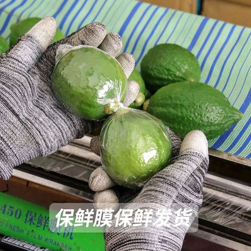 正宗广东香水柠檬无籽青柠檬新鲜水果现摘3/5斤奶茶店专用