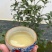 龙珠冰岛龙珠一手货源冰岛饼茶
