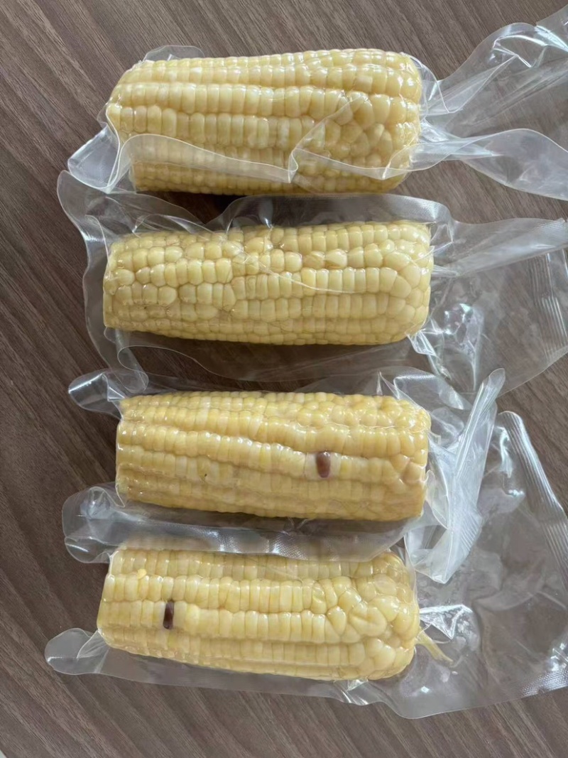 【推荐】黑龙江黄糯玉米真空玉米供应市场商超电商一件代发