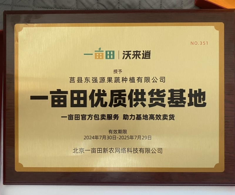 山东大黄姜生姜鲜姜上市代收代存品质保证量大从优