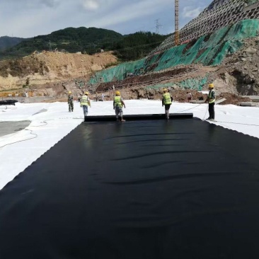 防渗膜土工膜鱼塘专防渗膜蓄水池防渗膜沼气池防渗膜
