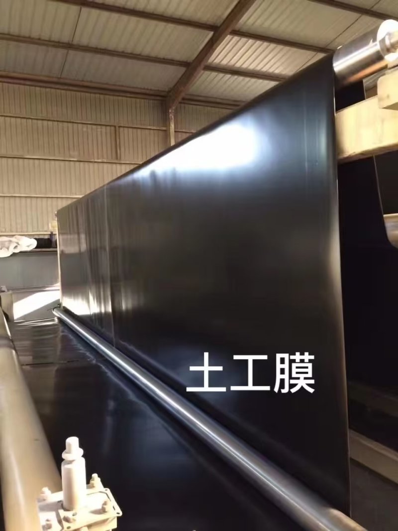 防渗膜土工膜鱼塘专防渗膜蓄水池防渗膜沼气池防渗膜