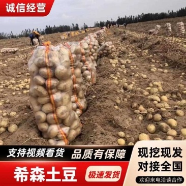 【希森土豆】武川土豆产地一手货源对接全国市场电商