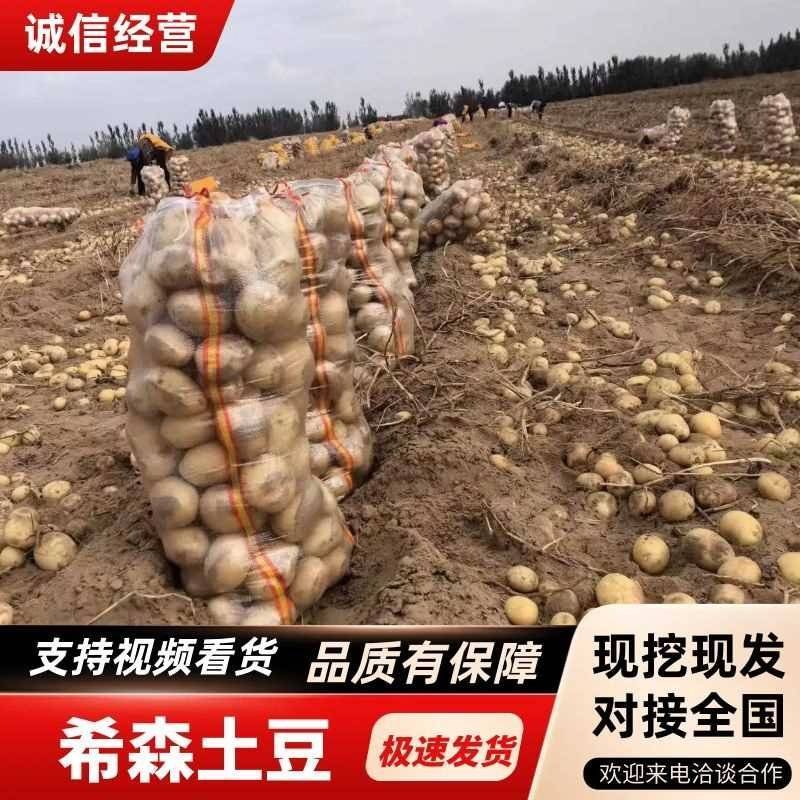 【希森土豆】武川土豆产地一手货源对接全国市场电商
