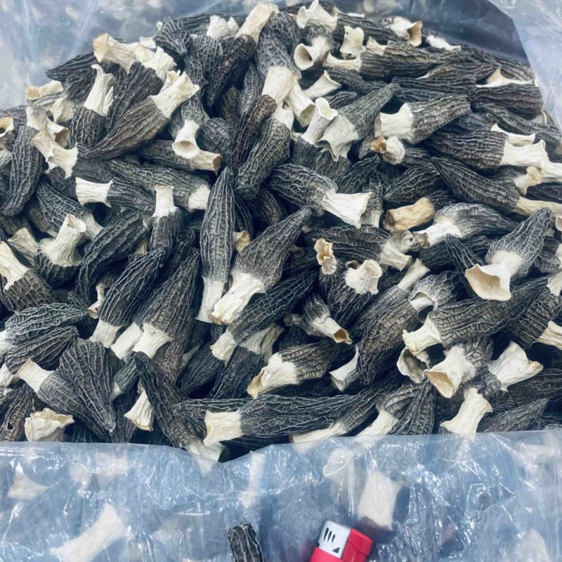 出货了出货了