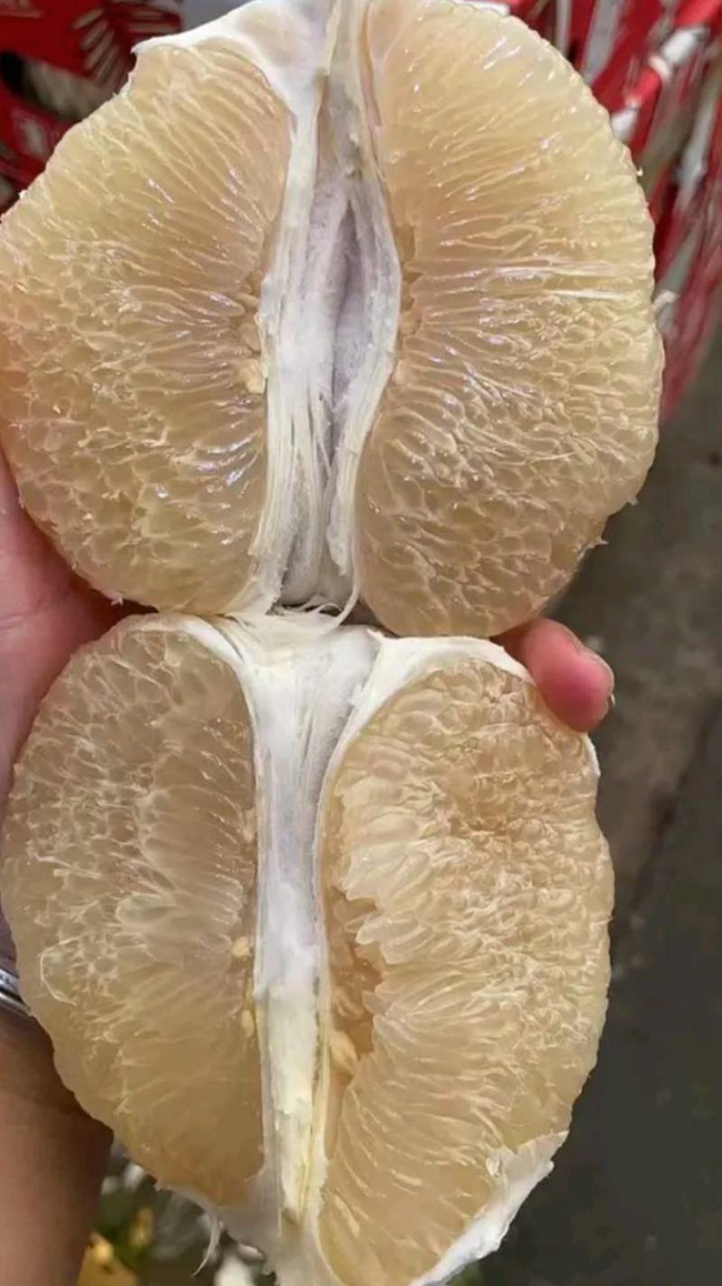 红心柚白心柚价格适惠电商社区团购批发产地视频走货保质保量